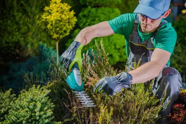 landscaping services Pathfork